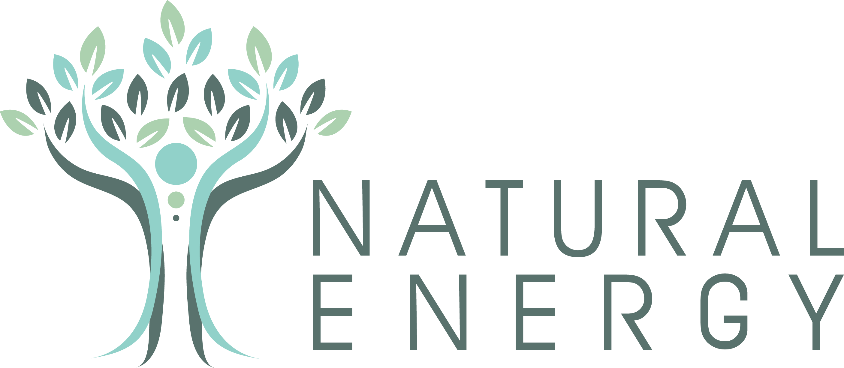 Natural Energy Logo